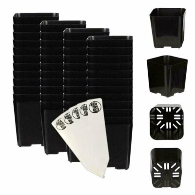 The Hydroponic City 2'' x 2'' Black Square Plastic Pots Pack of 48 + THCity Stakes