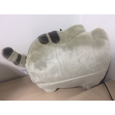 pusheen 4048864