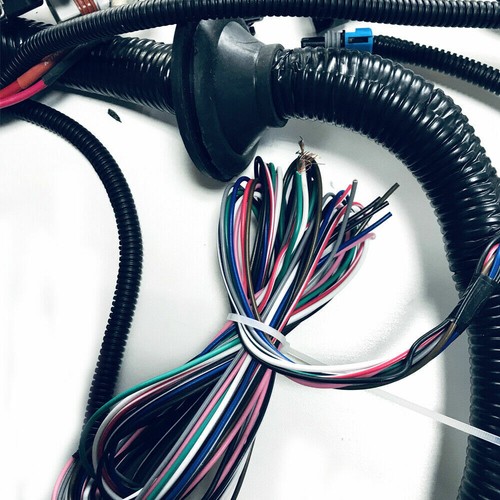 Standalone Wiring Harness Kit For LS1 Engine 1997-2006 w/ 4L60E DBC 4.8