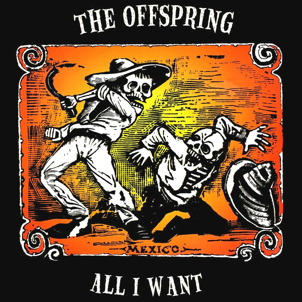Offspring All I Want SINGLE 12x12 Album Cover Replica Poster