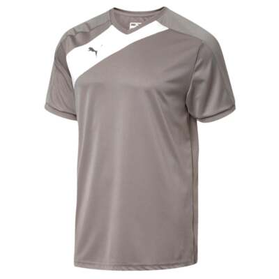 

Puma Santiago Tg Performance Crew Neck Short Sleeve Jersey Boys Grey Casual 6555, Puma Santiago Tg Performance Crew Neck Short Sleeve Jersey