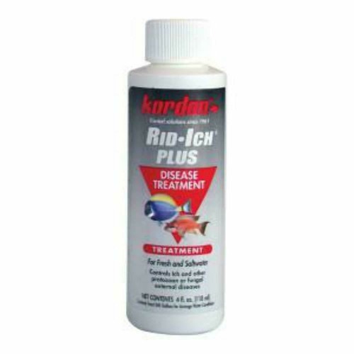Kordon Rid Ich Plus Disease Treatment- 4oz
