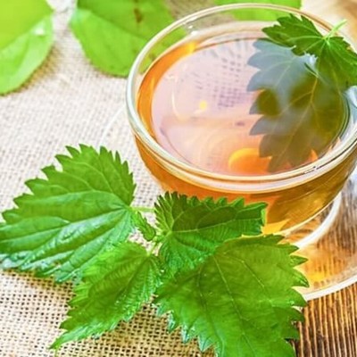 Nettle Leaf Tincture Extract Liquid