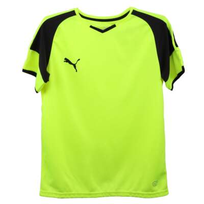 

Футболка Puma Bvb с V-образным вырезом и короткими рукавами для мальчиков, молодежная, желтая 703038-09-Y, Желтый, Puma Bvb V Neck Short Sleeve Soccer Jersey Youth