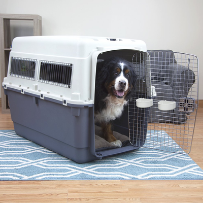 Travel cage hotsell for big dogs
