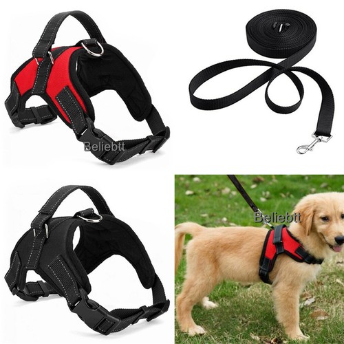 dog harness leash and collar set