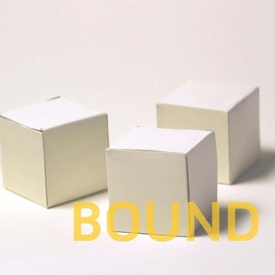 Bound: The First Array by Shanna Compton (English) Paperback Book