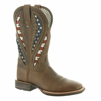 

Мужские ботинки Ariat Quickdraw Venttek, Distressed brown/flag