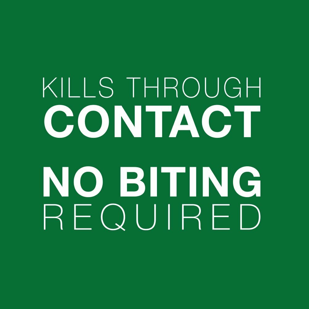 Bayer Advantage II Topical Flea Treatment Dogs 11 - 20 lb (4 doses, 6 doses)