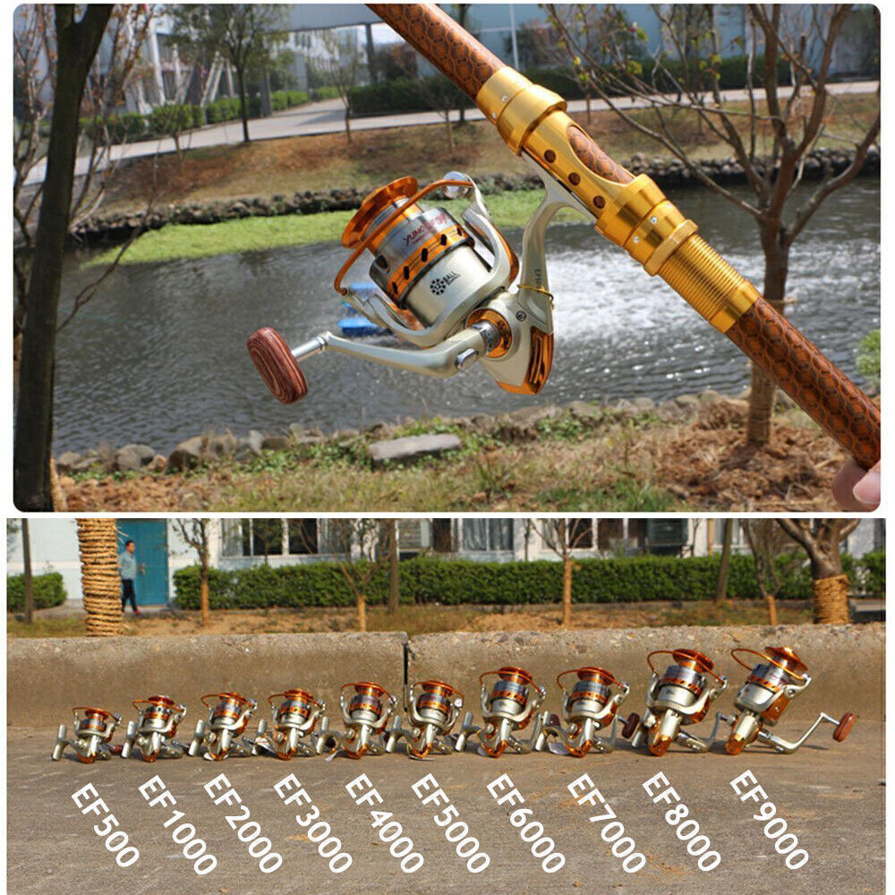 Left/right Hand 12BB Ball Bearing Saltwater Freshwater Fishing Spinning Reel EF