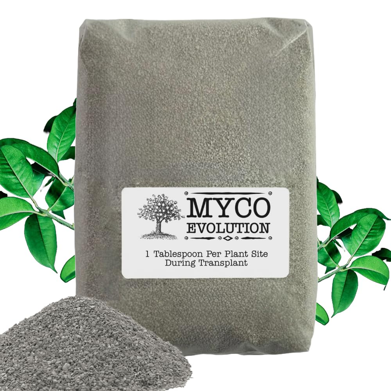Mycorrhizae Root Fungi Endo Granular Mycorrhizal 134 Spores Mycos Myko (2Lb)