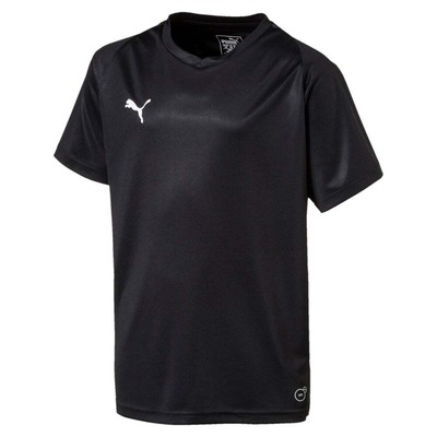 

Футболка Puma Liga Core с V-образным вырезом и короткими рукавами Джерси молодежная для мальчиков, черная повседневная 703542-0, Черный, Puma Liga Core VNeck Short Sleeve TShirt Jersey Youth