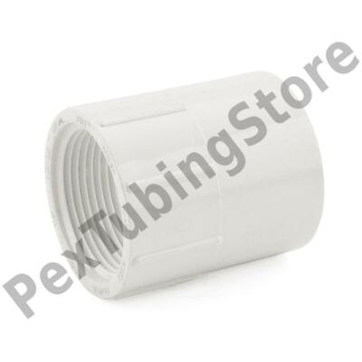 1-1/4'' PVC (Sch. 40) Socket x FIP Adapter