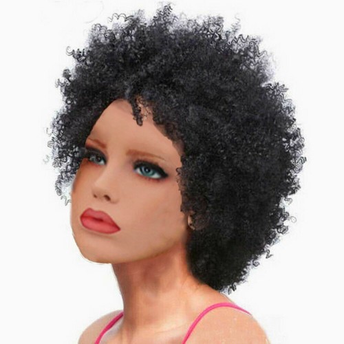 Women Natural Afro Fluffy Short Kinky Curly Hair Wig Black Wavy