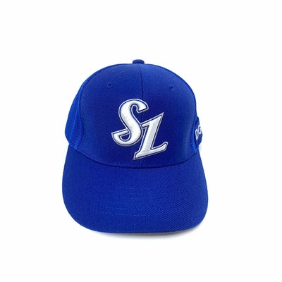 samsung lions hat