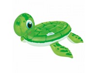 turtle inflatable pool