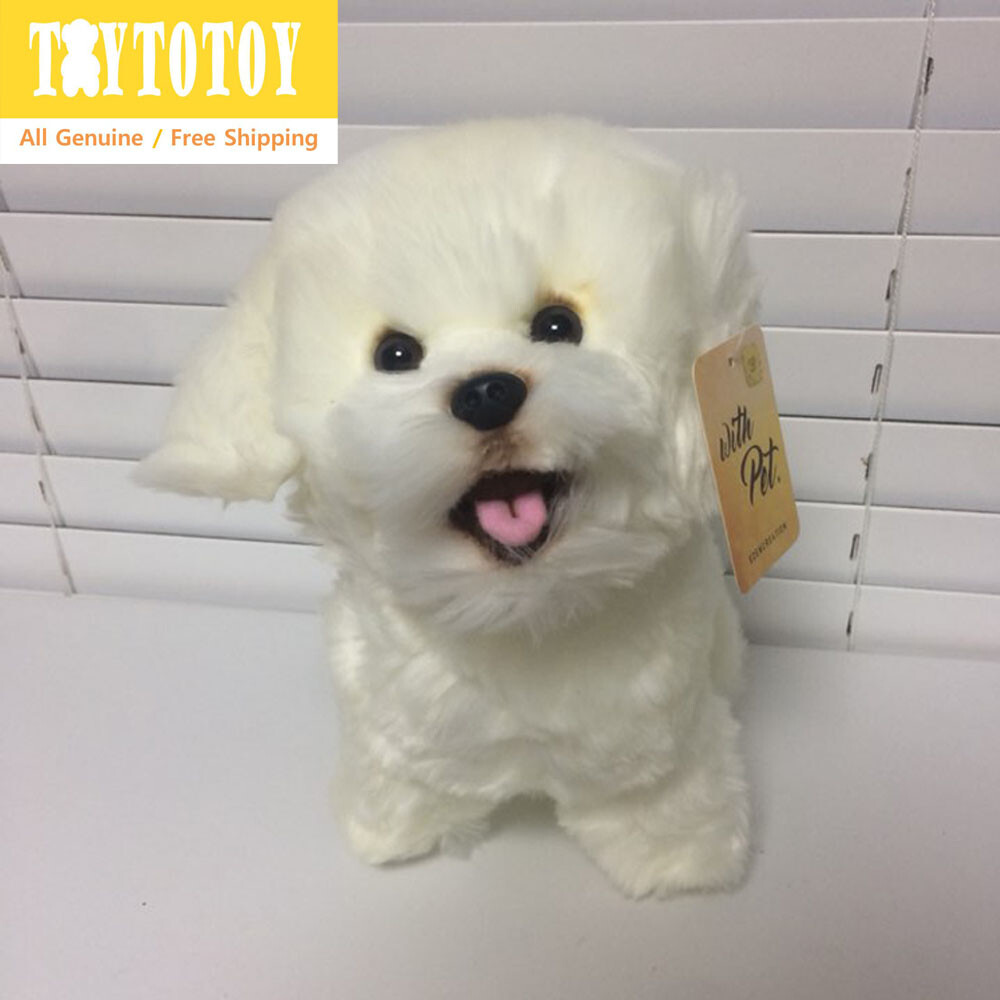bichon stuffed animal