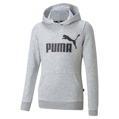 

Пуловер с капюшоном с логотипом Puma Essentials для мальчиков, размер , повседневная верхняя одежда для мальчиков 5870310, Grey