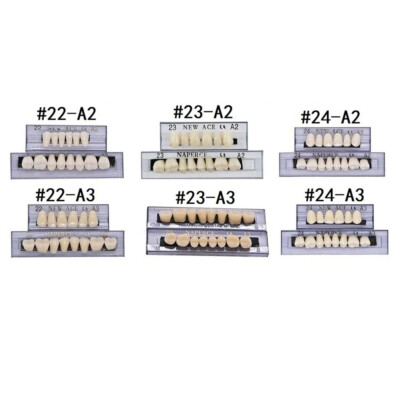 168PCS Acrylic Resin Denture Dental Upper Lower Shade A1 A2 A3 Teeth Set USA