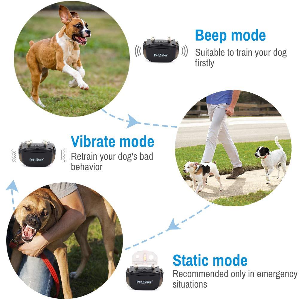 Petrainer Rechargeable Dog Training Shock E Collar for Small Medium Large Dogs