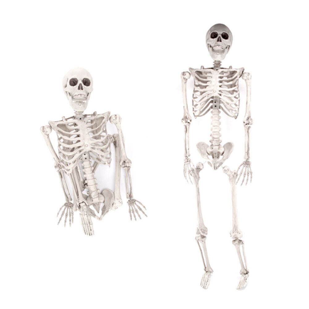 3ft 35" Halloween Party Decoration Full Life Size Props Poseable Human Skeleton