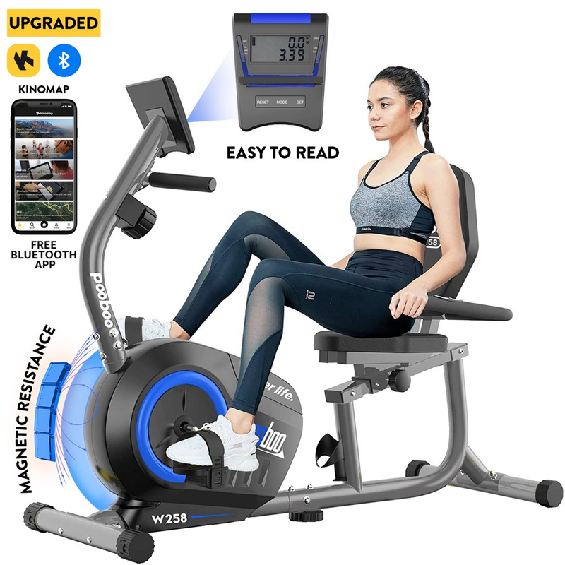 Sit Down Stationary Bicycle Magnetic Resistance Indoor