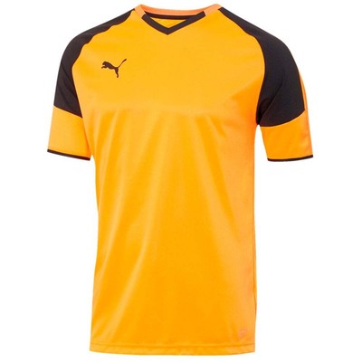 

Футболка Puma Bvb с V-образным вырезом и короткими рукавами для мальчиков, молодежная, оранжевая 703038-10-Y, Оранжевый, Puma Bvb V Neck Short Sleeve Soccer Jersey Youth
