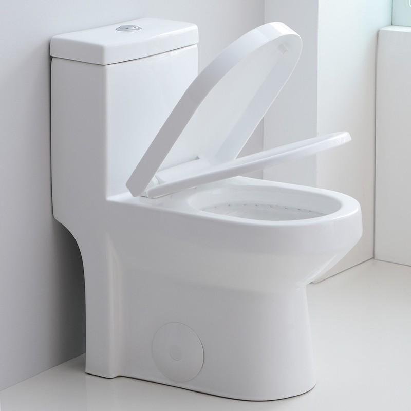 HOROW One Piece Toilet Bathroom Compact Dual Flush With Soft