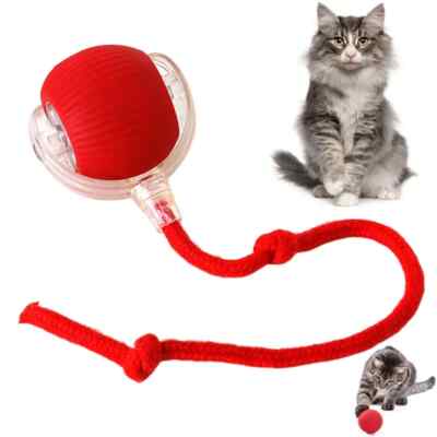 Automatic Rolling Ball Smart Cat Dog Toy Electric Pet Self-moving Kitten Game US