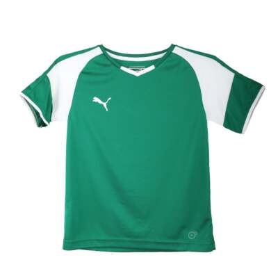 

Молодежная футбольная майка Puma Borussia с V-образным вырезом для мальчиков, размер  703038-08-Y, Зеленый, Puma Borussia VNeck Soccer Jersey Youth