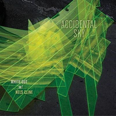 Accidental Sky - White Out With Nels Cline (Audio cd)