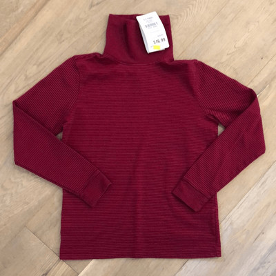 L.L. Bean Red/Purple Striped Turtleneck (XS)