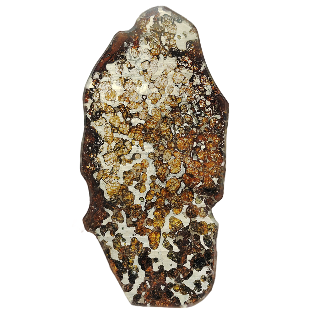 181.8g Brenham pallasite Meteorite slice - from usa QA109 | eBay