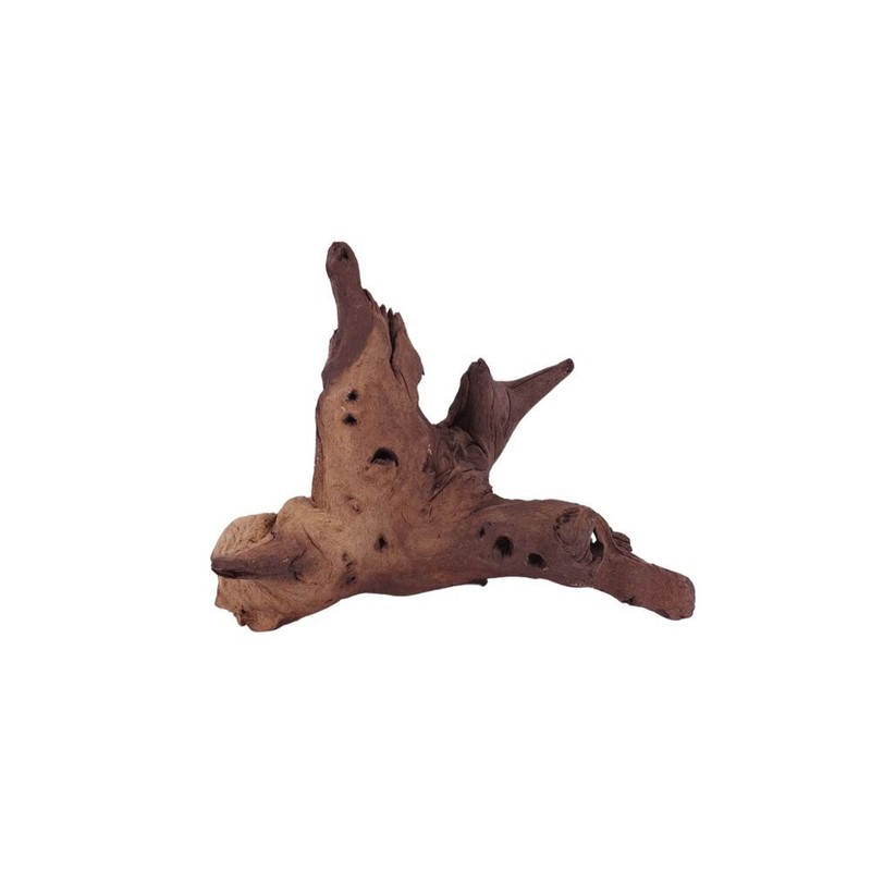 DÃ©Coration De Racine D'Aquarium Mopani Mopaniwurzel Aquascaping Mangroves NÂ°1167