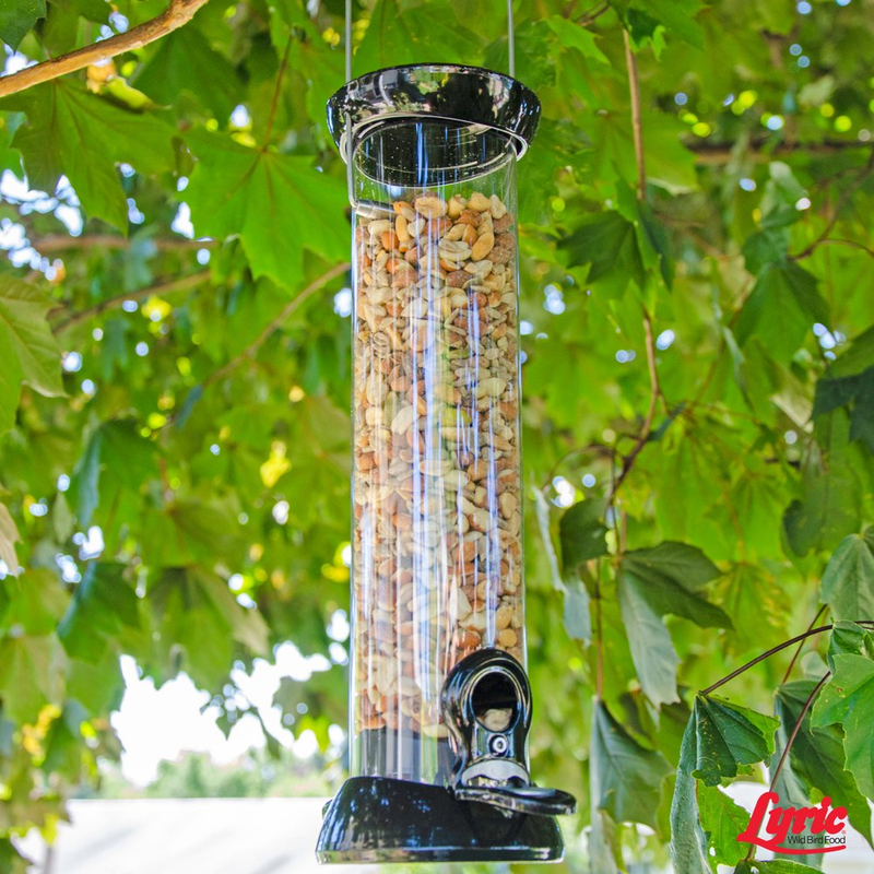 Lyric&reg; Delite Wild Bird Seed, No Waste Bird Food Mix with Shell-Free Nuts & Seed