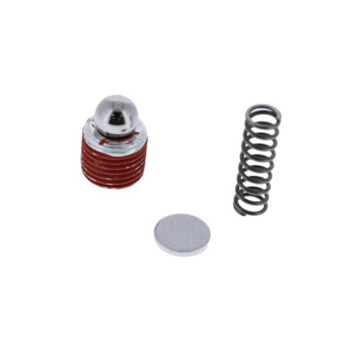 DeWalt OEM N365762 Grease Gun Check Valve Kit  DCGG570B  DCGG570K  DCGG571B