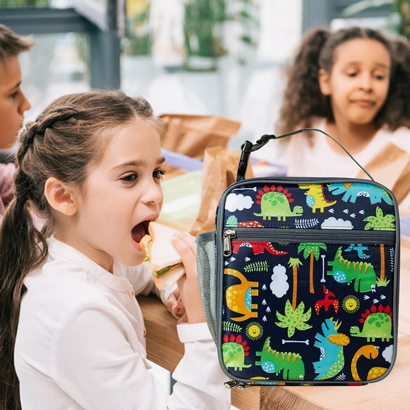 Toddler Lunch Bag for Kids Lunch Box, Dinosaur Lunch Boxes for Boys Lunch Bag,In