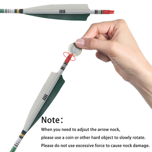 12Pcs 33inch Carbon Hunting Arrows Archery Target Arrows with 5" Turkey Feathers