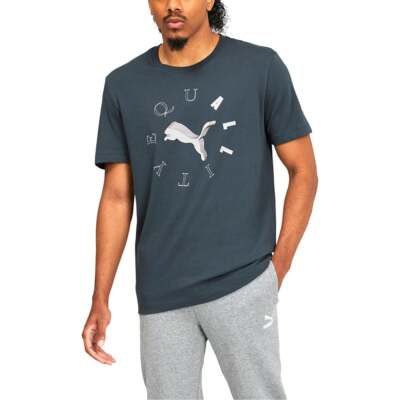 

Мужские серые повседневные футболки Puma M Equality Cat Tee 67406642, Grey, Puma M Equality Cat Tee