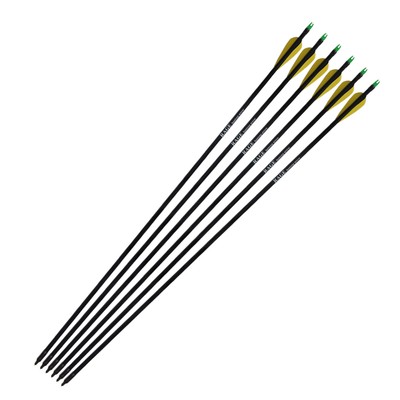 Nocks(nock是什么品牌)