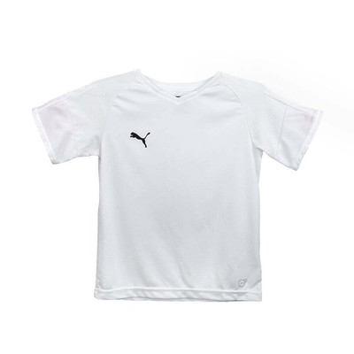 

Футболка Puma Borussia VNeck с коротким рукавом мужская белая 703038-01, Белый, Puma Borussia VNeck Short Sleeve Soccer Jersey