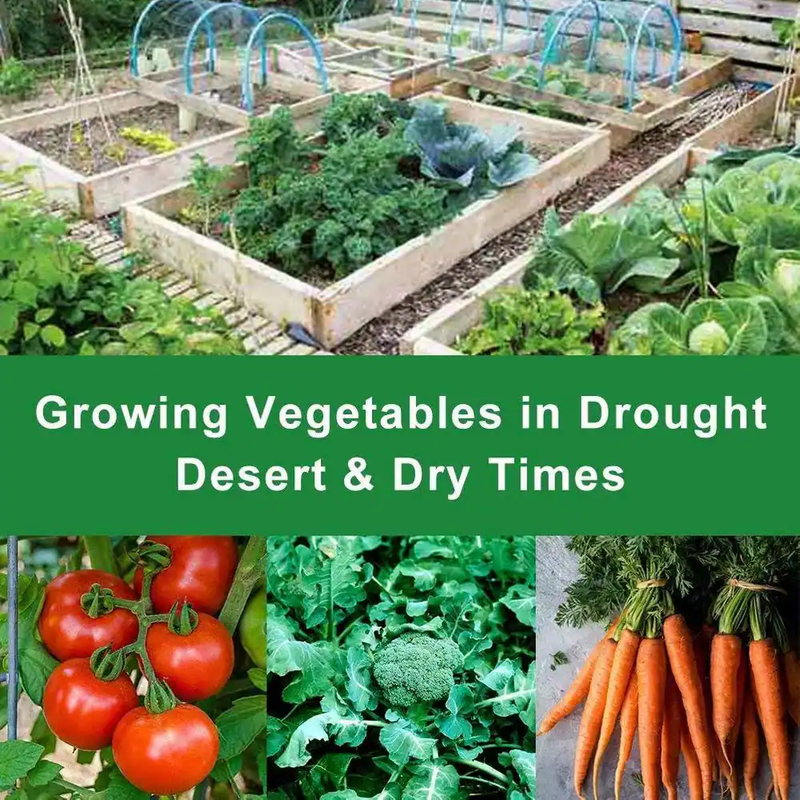 Plant Row Cover and Frost Blanket 14 ft x 50 ft for Garden Seed Germination