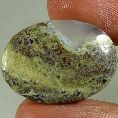 100% Natural Indonesian Moss Agate Oval Cabochon Gesmtone 23.65Cts. 20x 28x 06mm