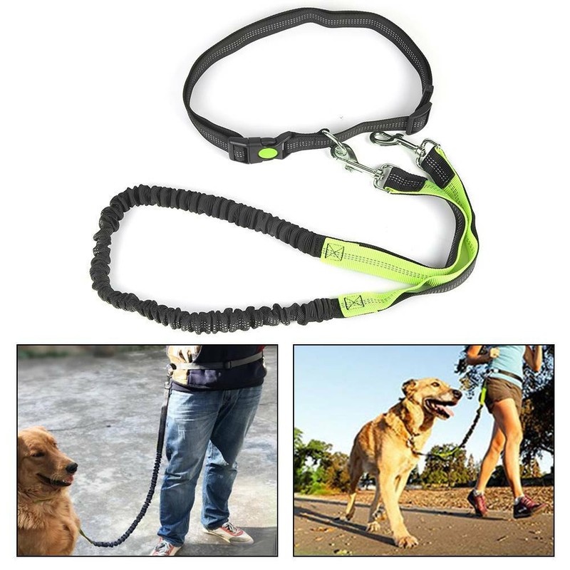 Jogging Hundeleine Jogginggurt Leine mit Bauchgurt Elastisch Für Joggen mit Hund