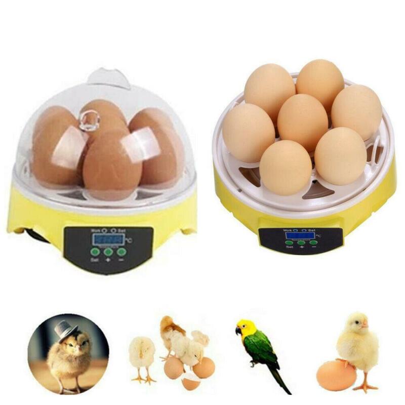 Mini 7 Egg Incubator Hatcher Digital Clear Temperature Control Duck Bird 110V