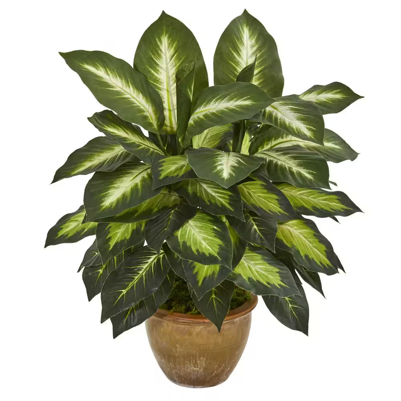 Artificial Dieffenbachia Plant 18 Inch Fake Houseplant Ceramic Pot Indoor Decor