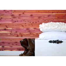 Where to buy cedar planks