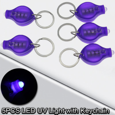 New loon outdoors UV Nano Light fly tying puissant compact resin cure Best