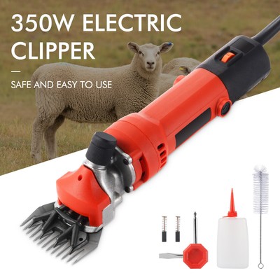 Livestock Supplies Shearing Sheep