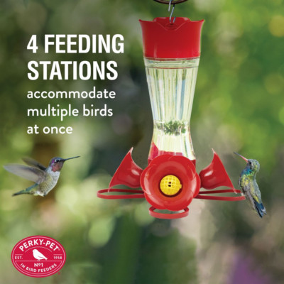 Perky-Pet 8 Oz Nectar Hummingbird Feeder Pinch Waist Clear Glass